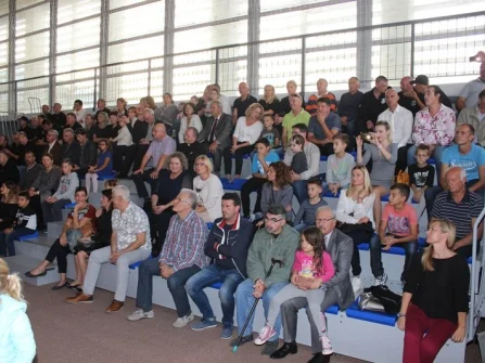 Opis slike