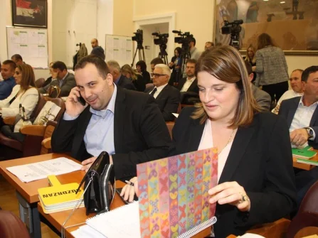 Opis slike