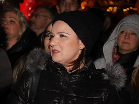 Opis slike