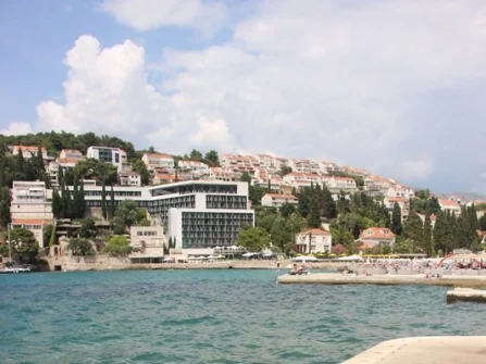 Opis slike