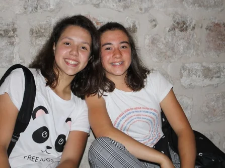Opis slike
