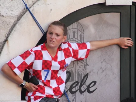 Opis slike