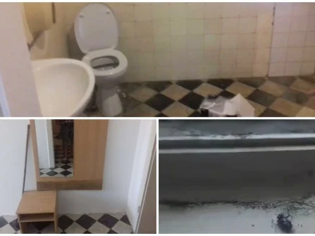 Opis slike