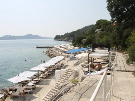 Opis slike