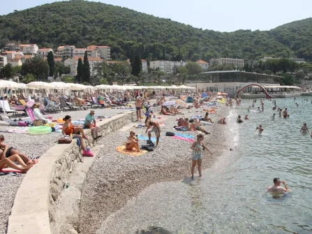 Opis slike