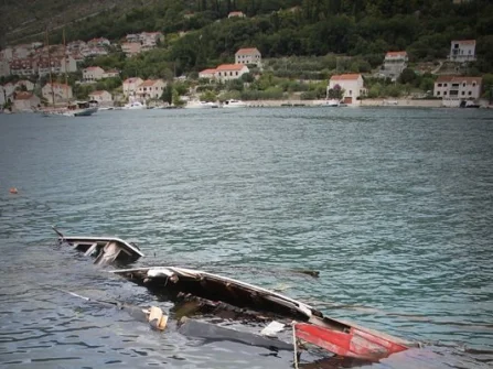 Opis slike