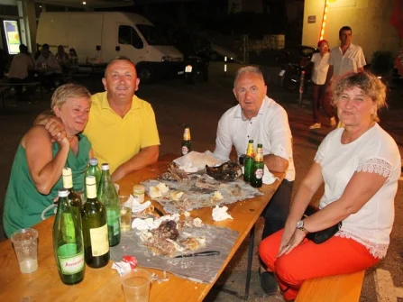 Opis slike