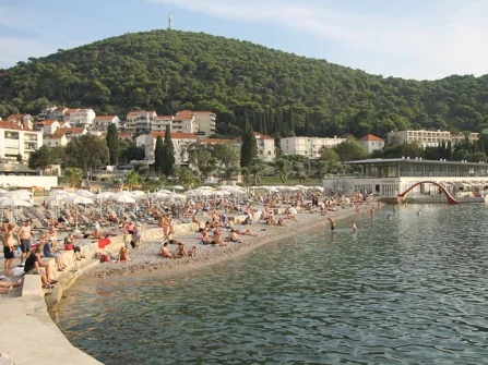Opis slike