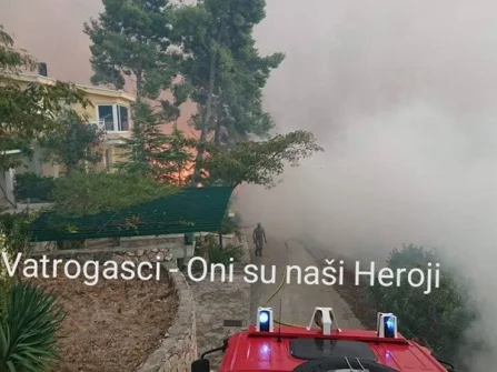 Opis slike