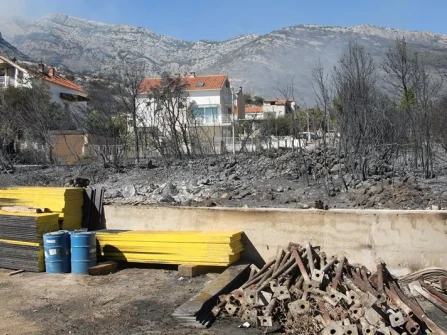 Opis slike