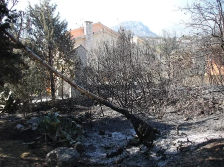 Opis slike