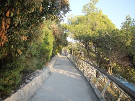 Opis slike