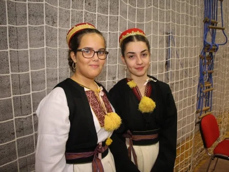Opis slike