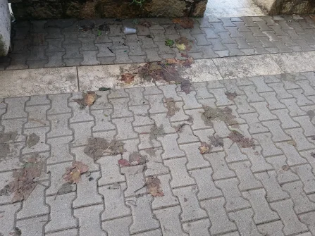 Opis slike