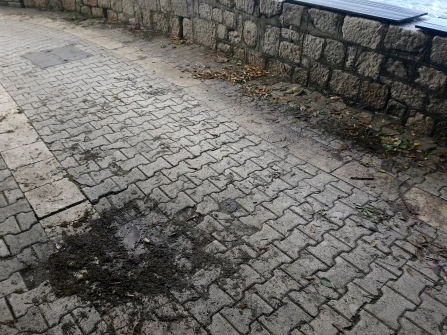 Opis slike