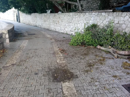 Opis slike