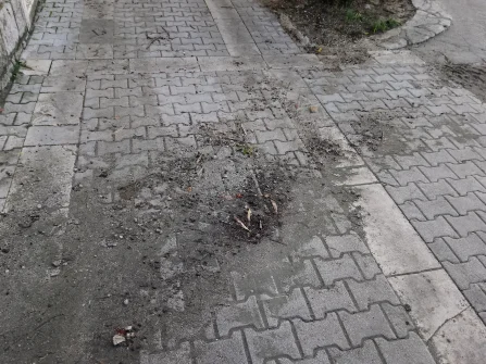 Opis slike