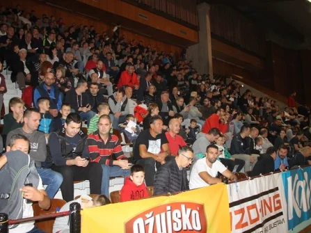 Opis slike