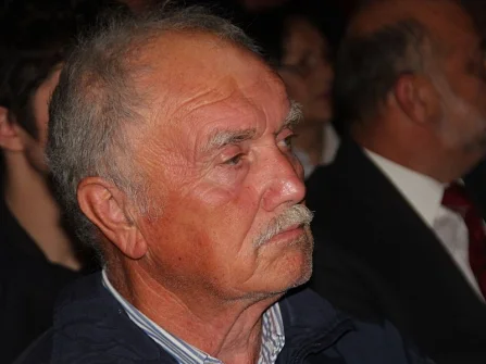 Opis slike
