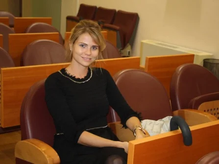 Opis slike