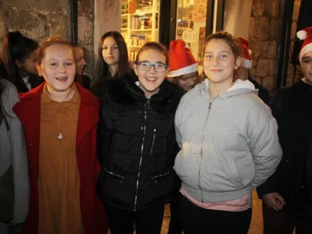 Opis slike