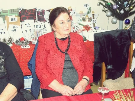 Opis slike