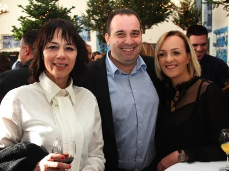 Opis slike