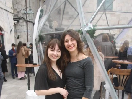Opis slike