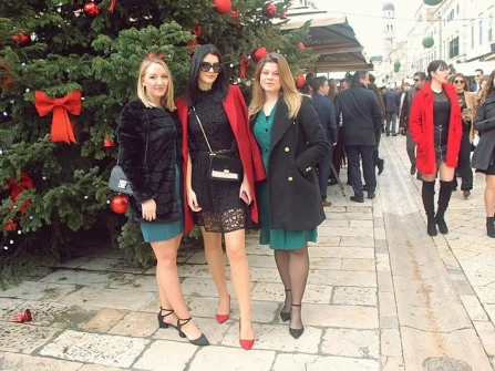 Opis slike