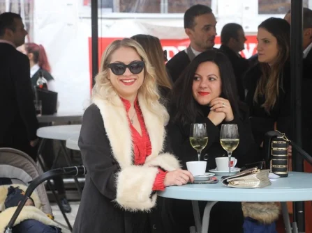 Opis slike