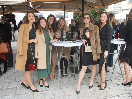 Opis slike