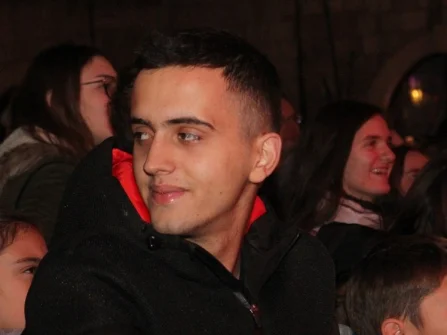Opis slike