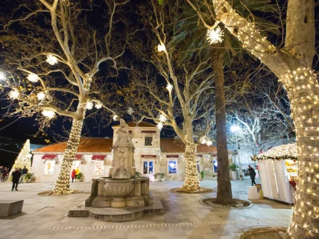 Opis slike