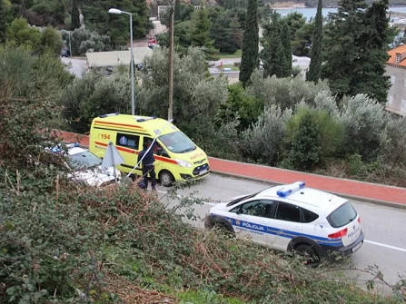 Opis slike