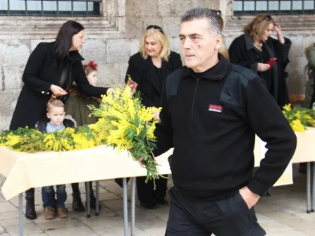 Opis slike