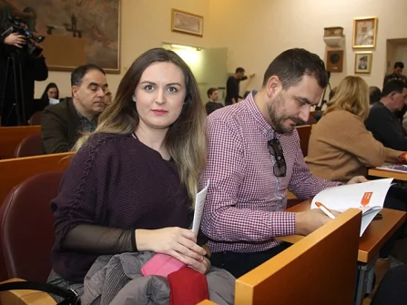 Opis slike