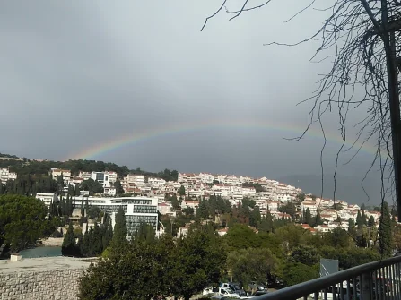 Opis slike