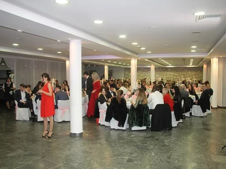 Opis slike