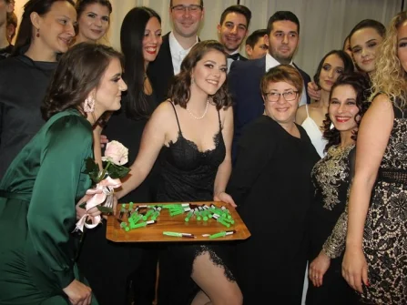 Opis slike