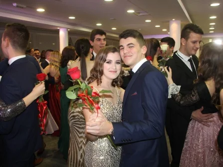 Opis slike