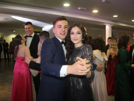 Opis slike