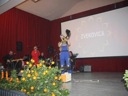 Opis slike