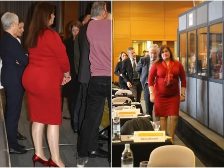 Opis slike