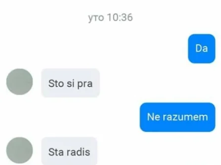 Opis slike