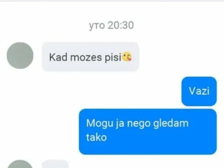 Opis slike