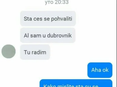Opis slike