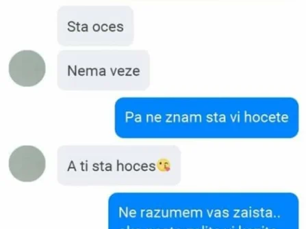 Opis slike