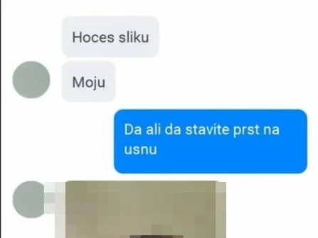 Opis slike