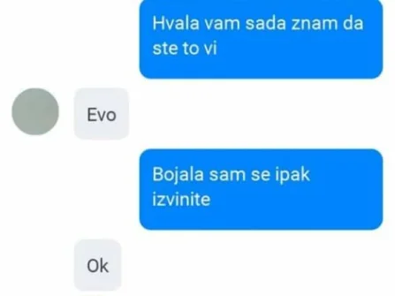 Opis slike