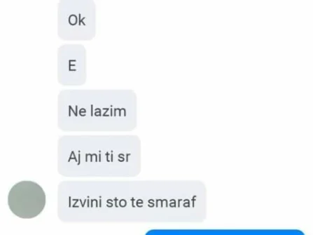Opis slike